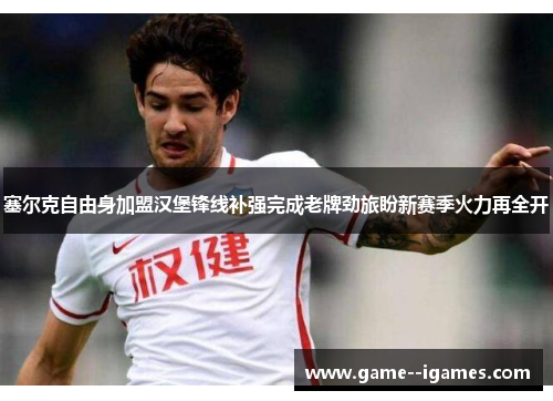 塞尔克自由身加盟汉堡锋线补强完成老牌劲旅盼新赛季火力再全开