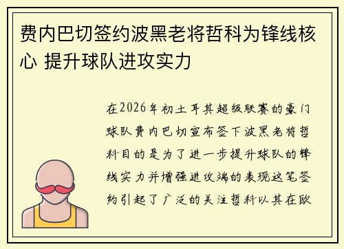 费内巴切签约波黑老将哲科为锋线核心 提升球队进攻实力 费内巴切签约波黑老将哲科为锋线核心 提升球队进攻实力